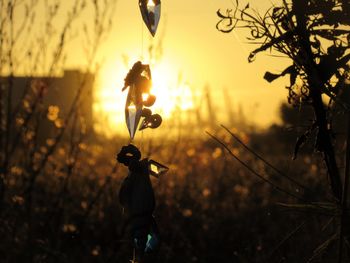 Low angle view of silhouette plant against sky during sunset