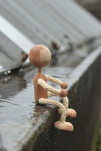 Close-up of mushroom growing on wood