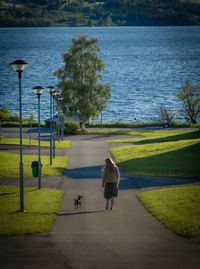 Rear view of woman walking with dog on road