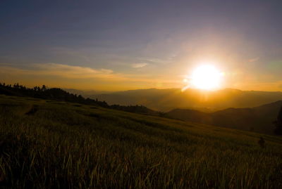 Scenic view of field against sky during sunset