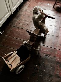 Monkey toy on tricycle at hardwood floor