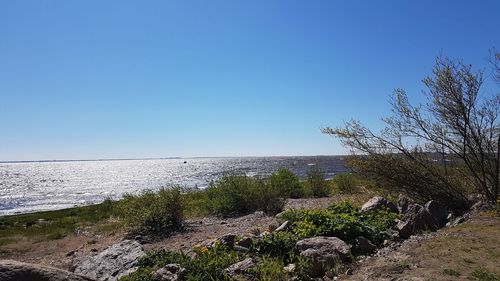 Scenic view of sea against clear blue sky