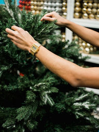 Cropped image of woman hand against blurred plants