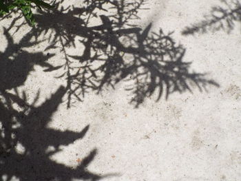 Close-up of shadow on sand