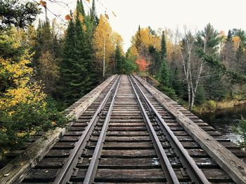 Railroad tracks amidst trees against sky