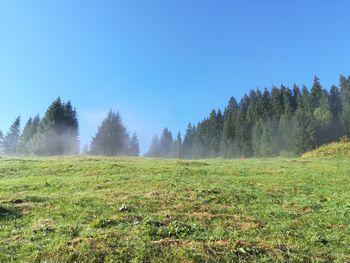 Scenic view of field against clear sky