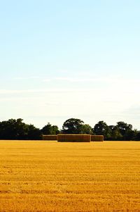 Scenic view of rural landscape