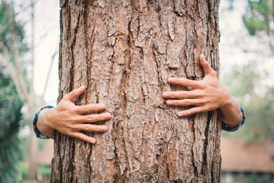 Close-up of hand holding tree trunk against blurred background