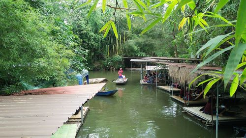 People in boat against trees in forest