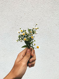 Midsection of person holding flowering plant against wall