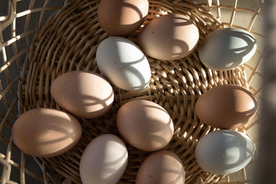 Basket of natural brown and bluish chicken eggs from local farmer's market