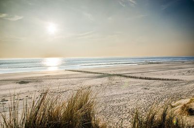 Scenic view of sea at sunset