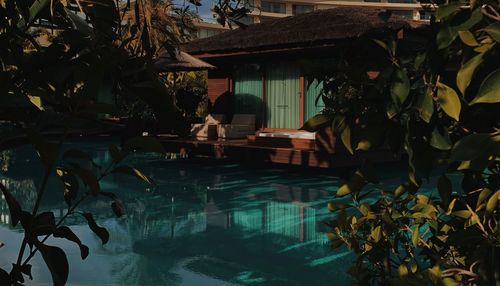 Plants by swimming pool against building