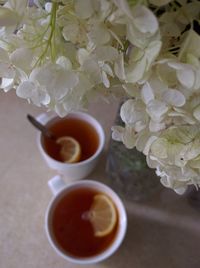 Close-up of drink on flower