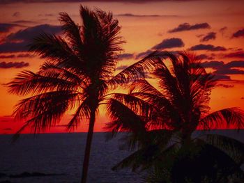 Silhouette palm tree by sea against romantic sky at sunset