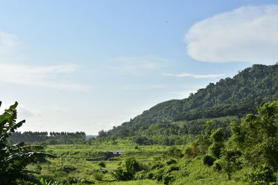 Scenic view of landscape against sky