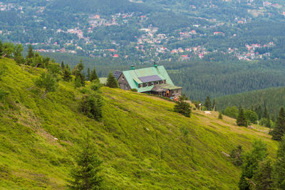 High angle view of trees and houses in forest