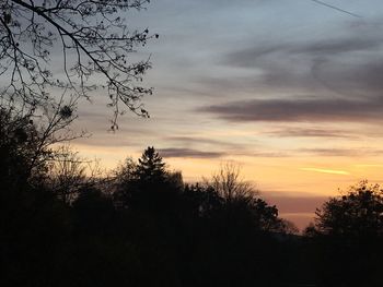 Low angle view of silhouette trees against sky at sunset