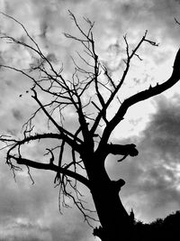 Low angle view of silhouette bare tree against sky