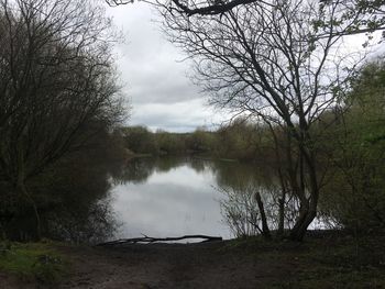 River amidst bare trees against sky