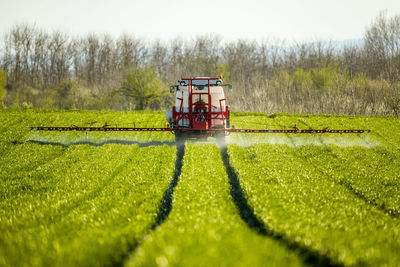 Tractor spraying crops in green farm