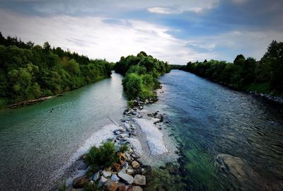 Scenic view of river amidst trees against sky