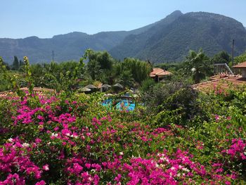 Scenic view of mountains against clear sky