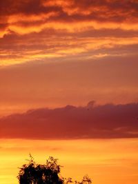 Low angle view of silhouette trees against dramatic sky