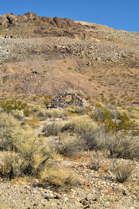 Aerial view of desert