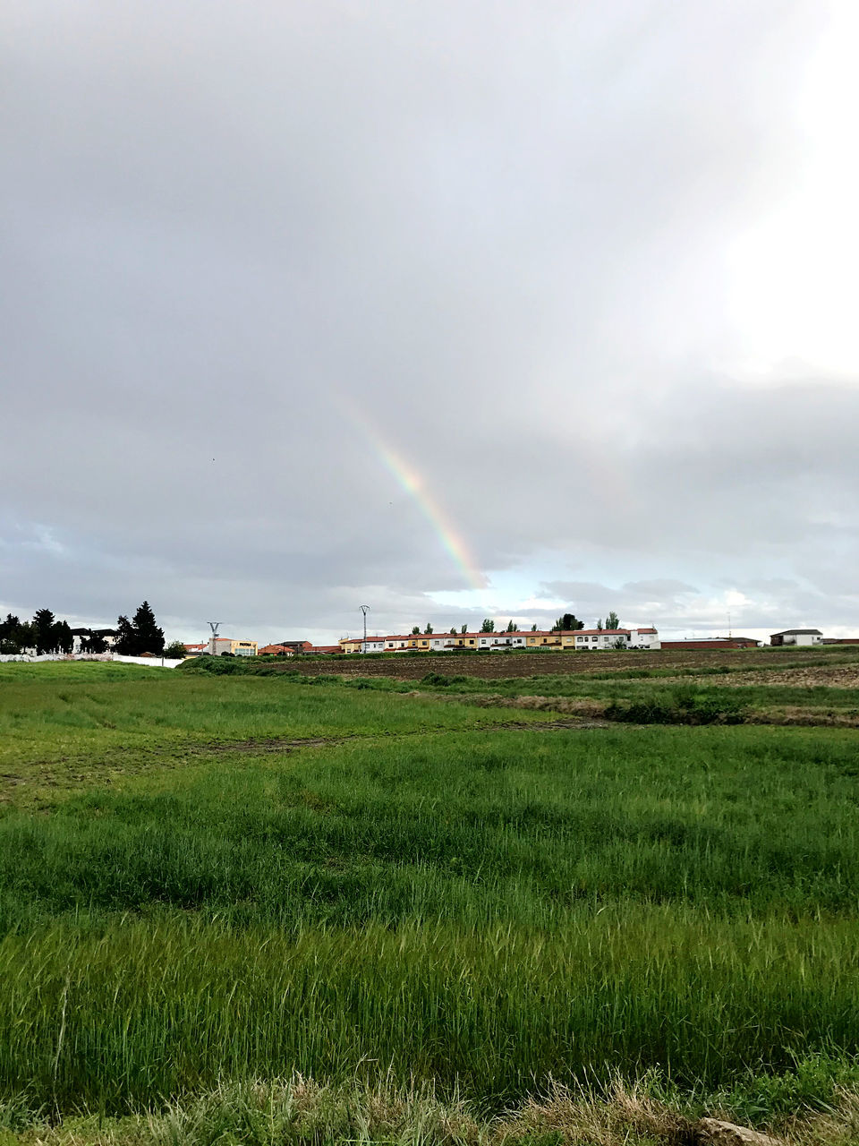 SCENIC VIEW OF FIELD AGAINST RAINBOW