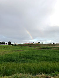 Scenic view of field against sky