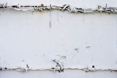 Close-up of damaged wall