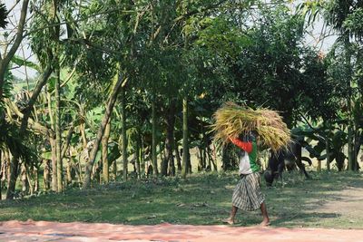 Man carrying grass on head while walking on field