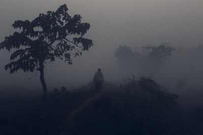 Silhouette person walking on street during foggy weather