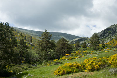 Scenic view of mountains against sky