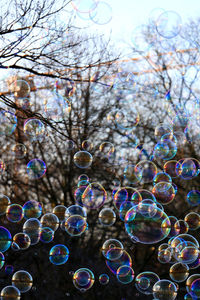 Low angle view of bubbles against trees