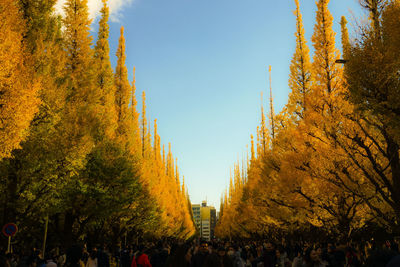 Group of people by autumn trees against sky