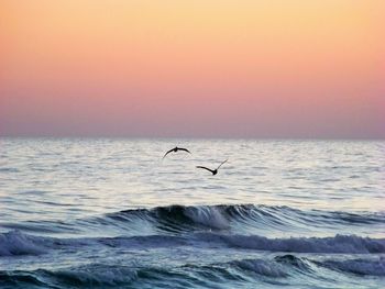 Silhouette birds on sea against sky at sunset