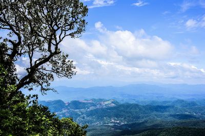 Scenic view of tree mountains against sky