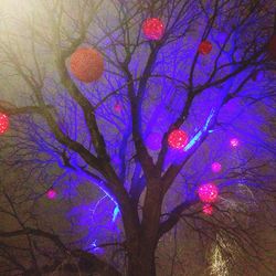 Low angle view of tree against sky