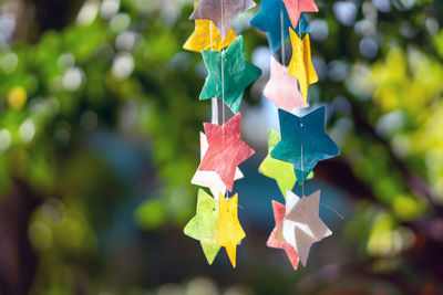 Close-up of multi colored paper hanging on tree