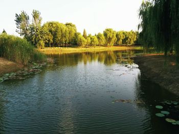 Scenic view of lake against clear sky