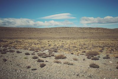 Scenic view of desert against sky