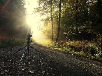 Camera on tripod over road in forest