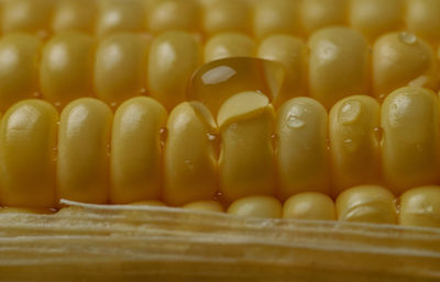 Full frame shot of yellow candies