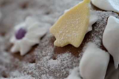 Close-up of food
