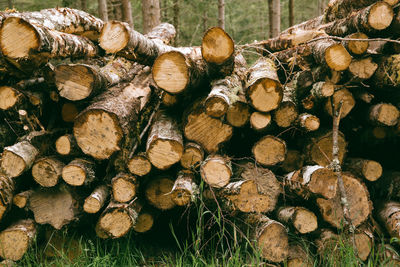 Stack of firewood