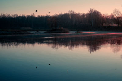 Birds flying over lake during sunset