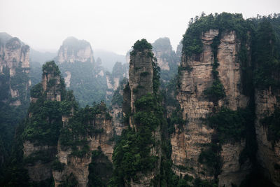 Rock formations at zhangjiajie national forest park