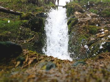 Water splashing on tree